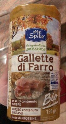 Gallette di farro