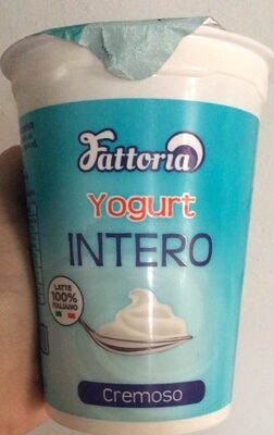 Yogurt Intero