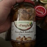 Funghi Chiodetti