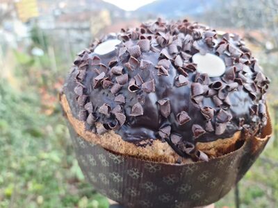 Panettone al cioccolato front packaging