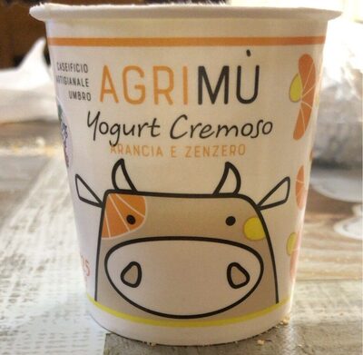 yogurt cremoso arancia e zenzero