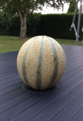 Melon