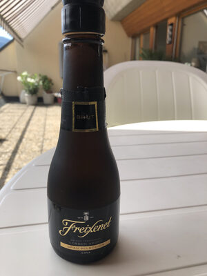 Freixenet Brut