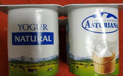 Yogurt natural