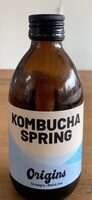 Kombucha origins