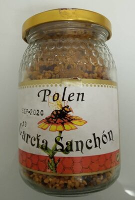Polen García Sanchón