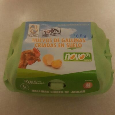 Huevos de Gallina Criadas en Suelo