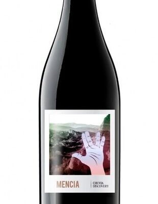 Vino do bierzo chuvia discovery tinto mencia front packaging