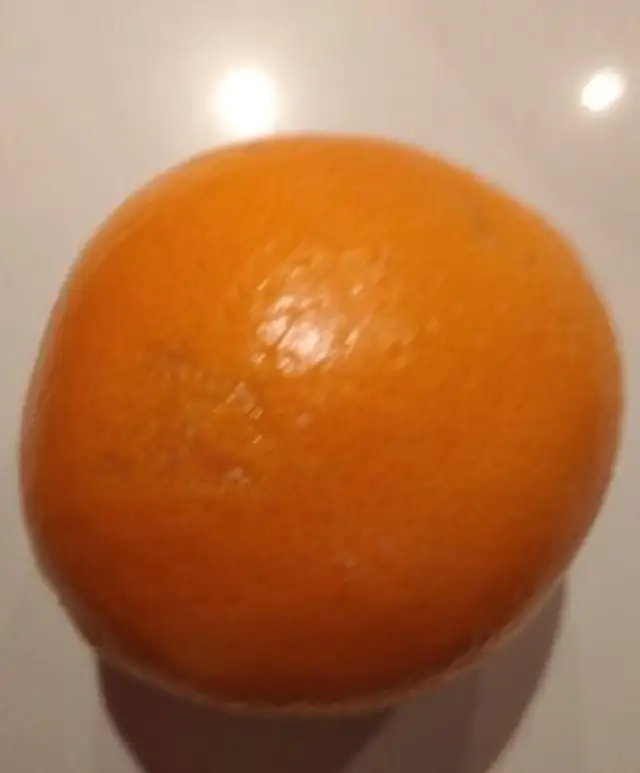 Naranjas Navel -Late