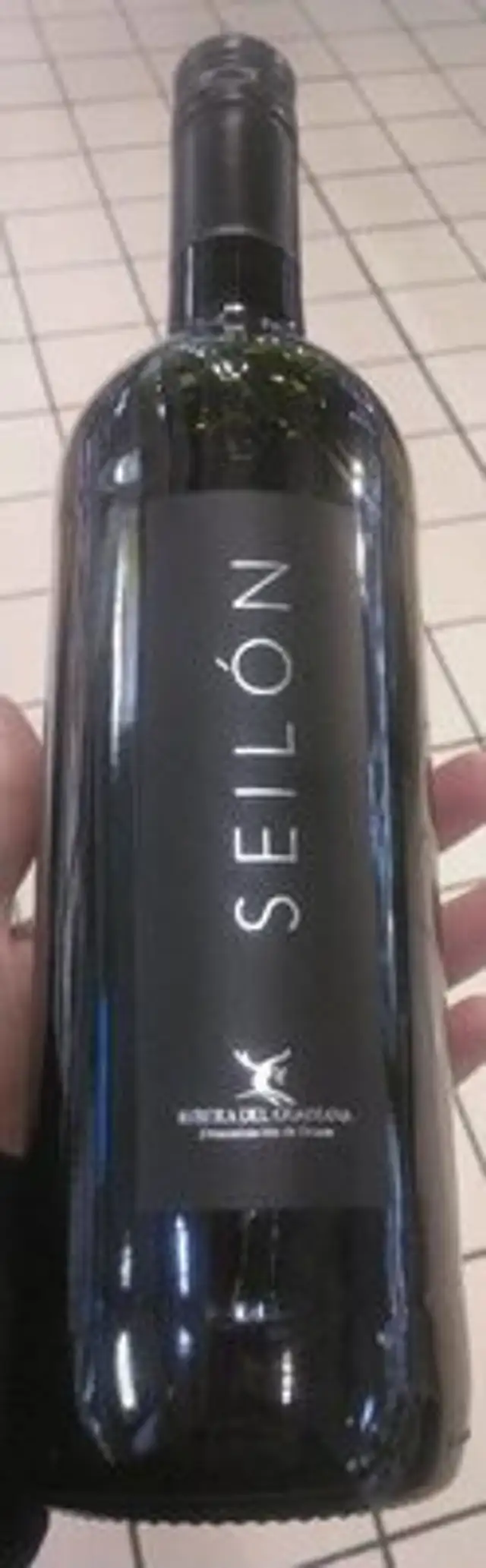 Seilon