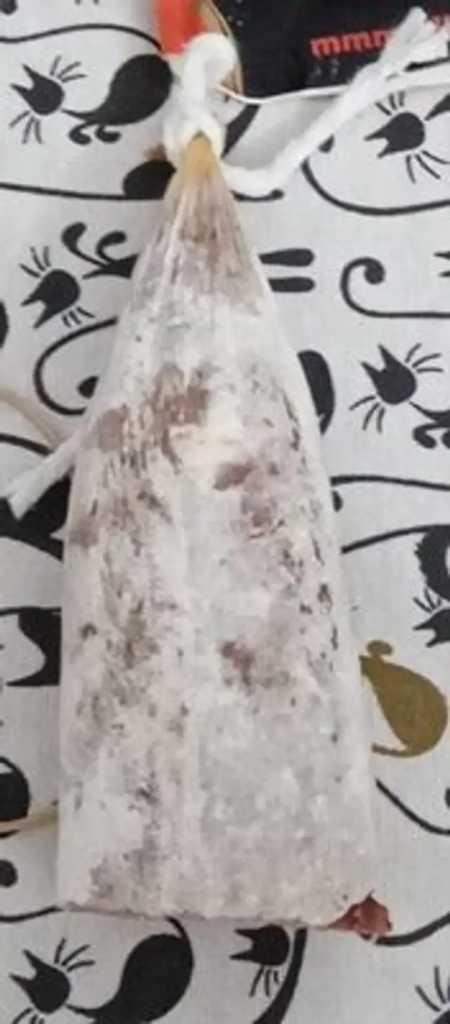 Llonganissa Extra