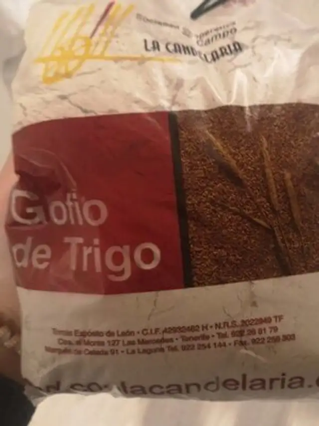 Gofio de trigo