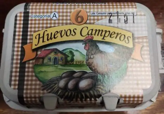 Huevos Camperos