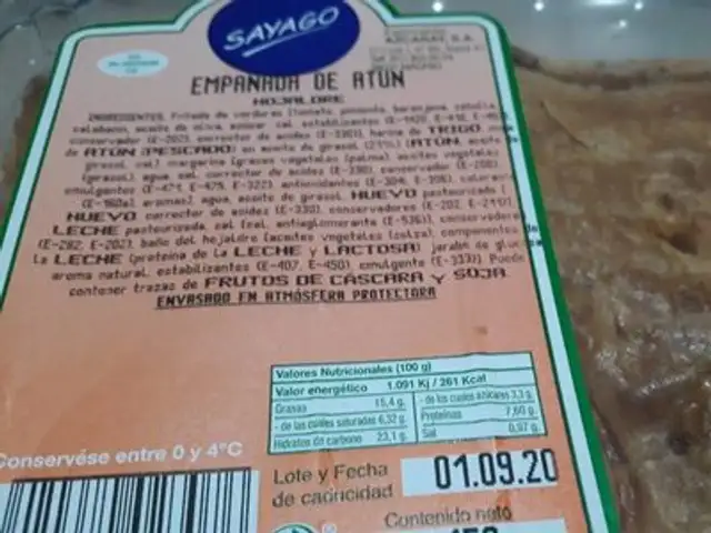 Empanada atun