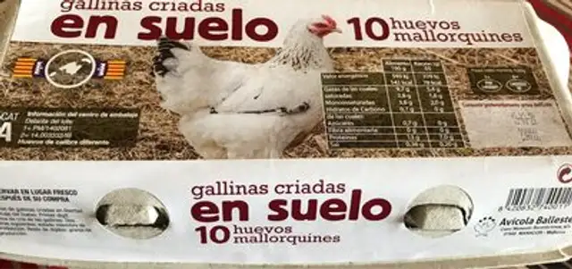 Huevos