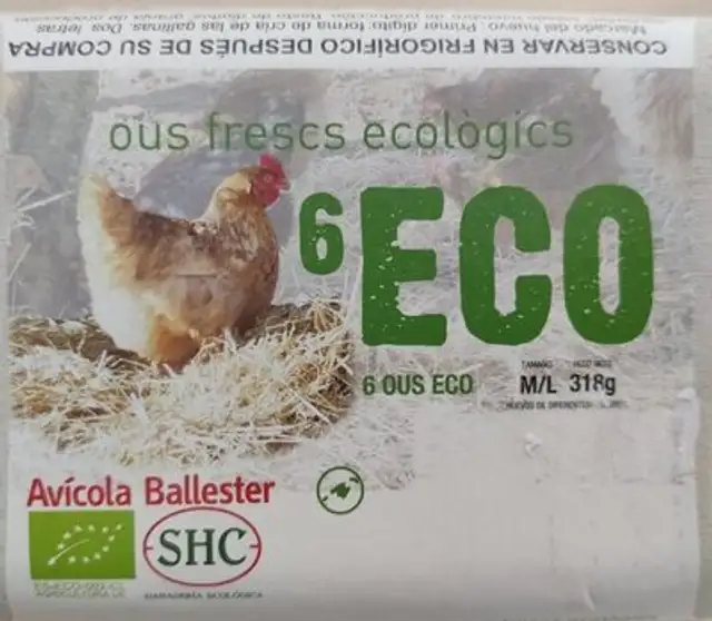 Huevos