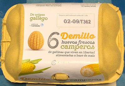 6 Huevos frescos camperos