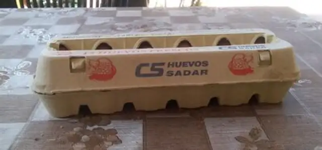 Huevo Sadar