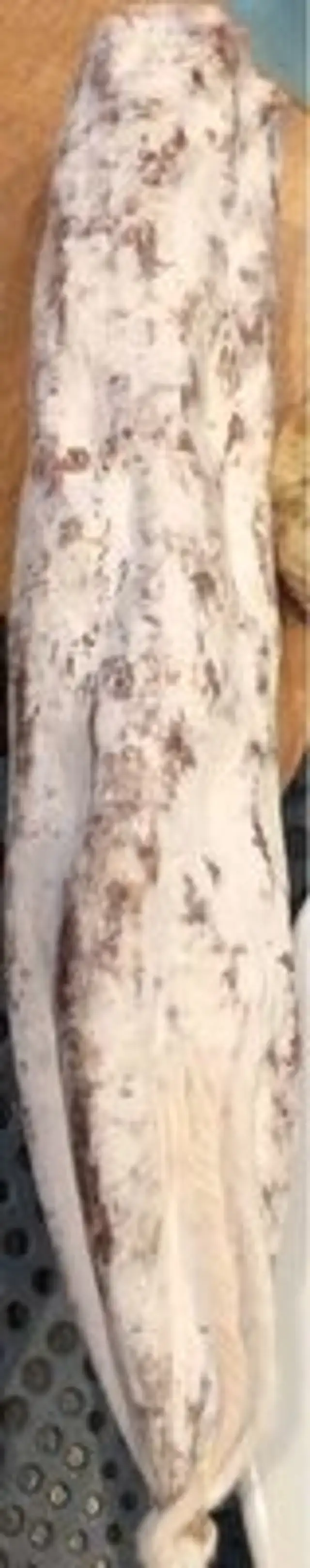 Saucisson paysan