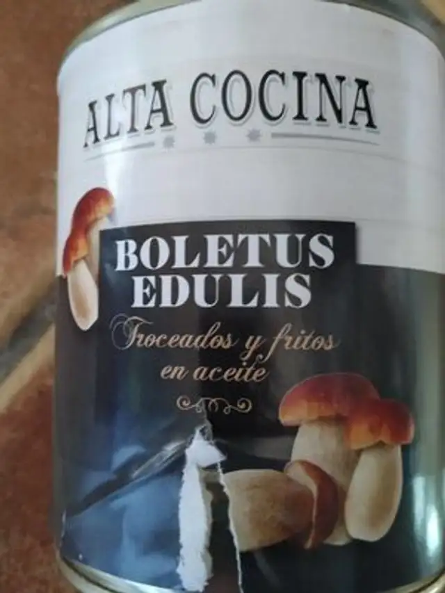 Boletus edulis