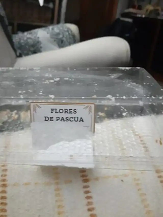 FLORES D PASCUA