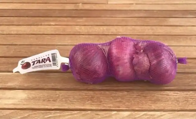 Cebolla morada
