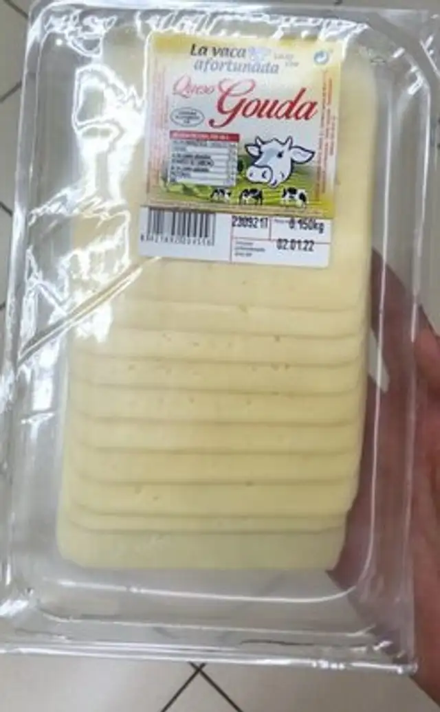 Queso gouda