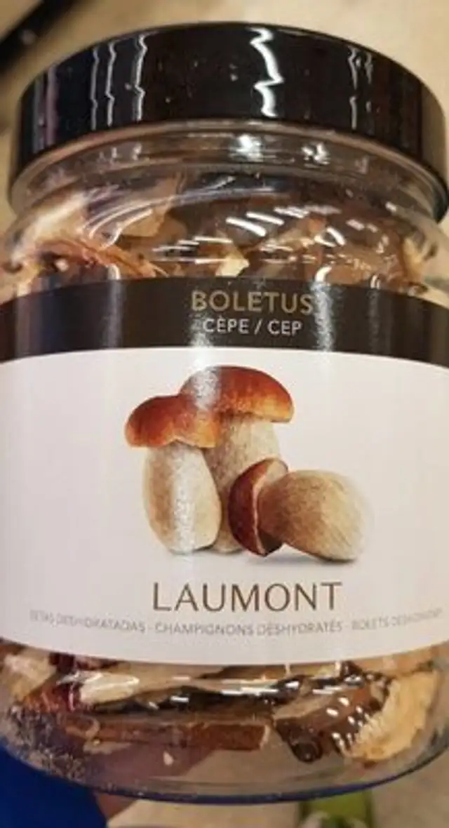 Boletus