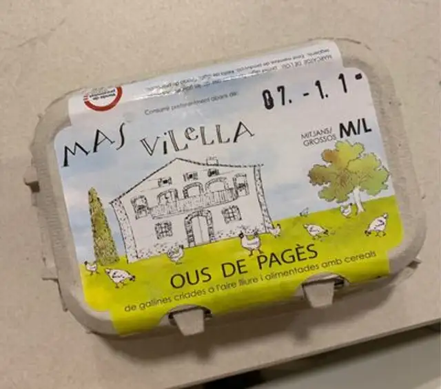 Mas Vilella