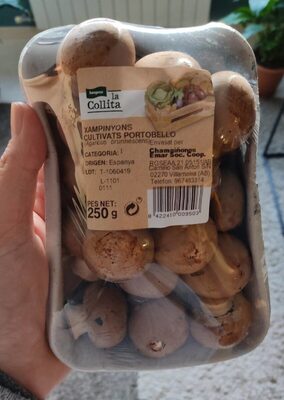 Xampinyons Portbello front packaging