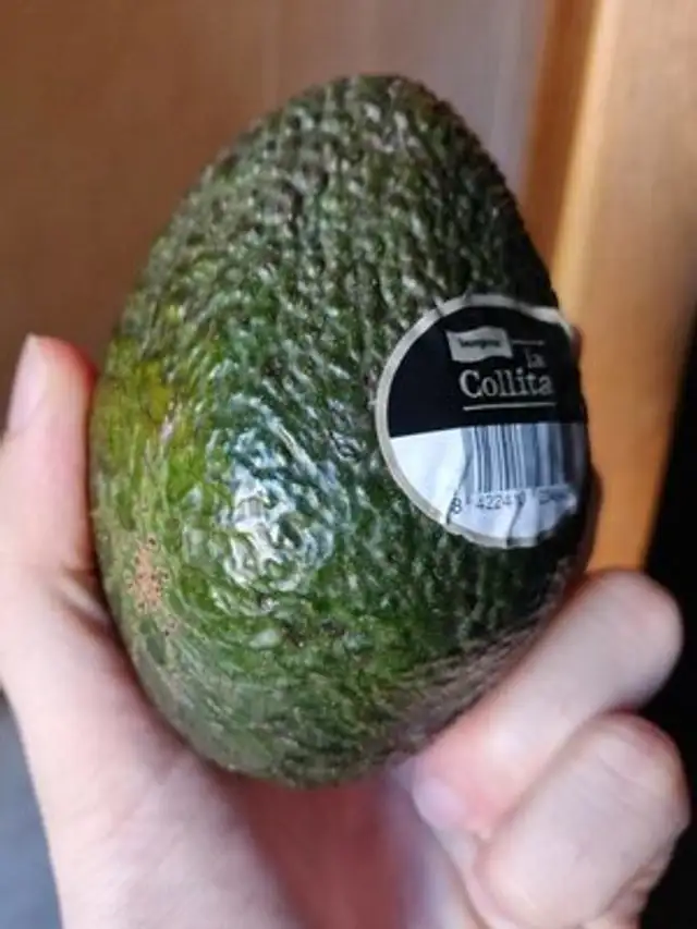 Aguacate