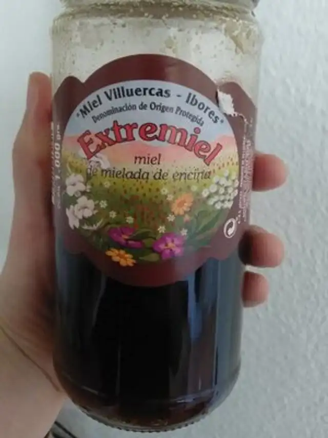 Miel de mielada de encina