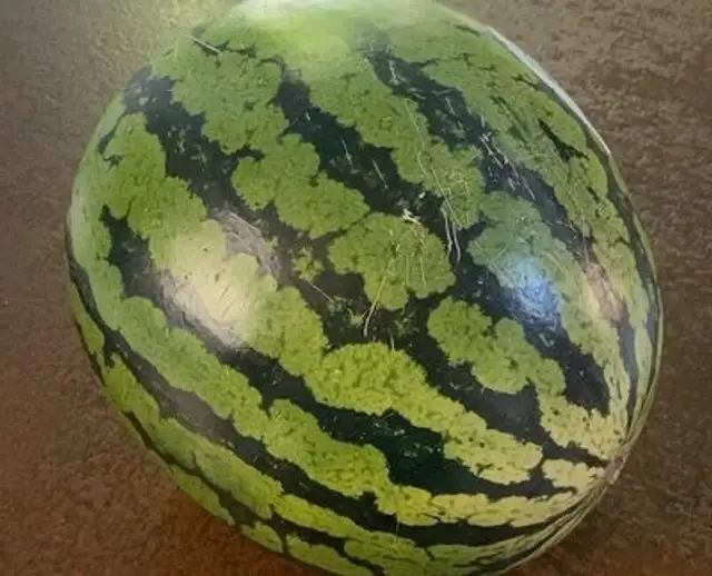 Watermelon