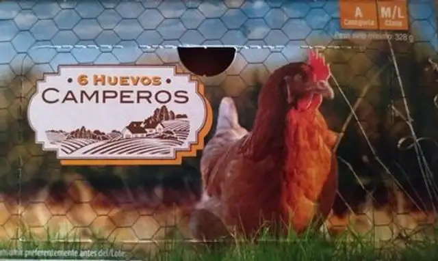 Huevos camperos
