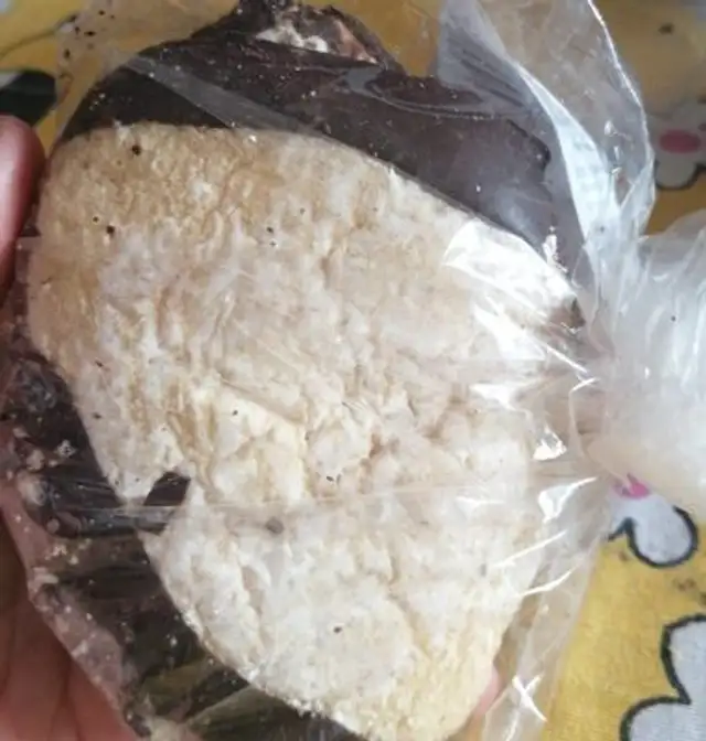 Torta de bizcocho con chocolate vegetal norte