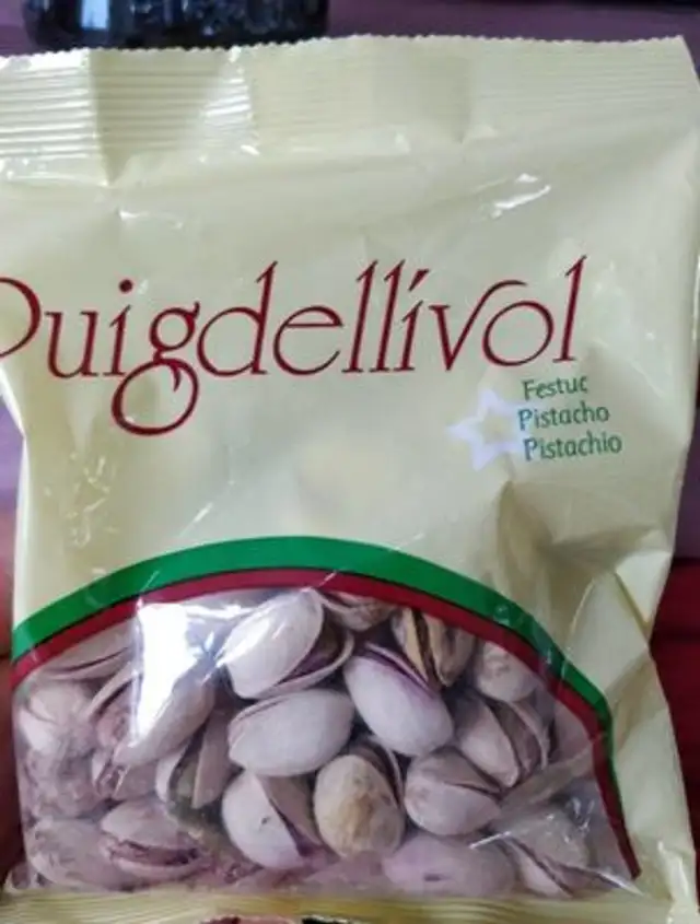 Puigdellivol