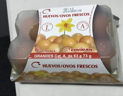 Huevos frescos grandes