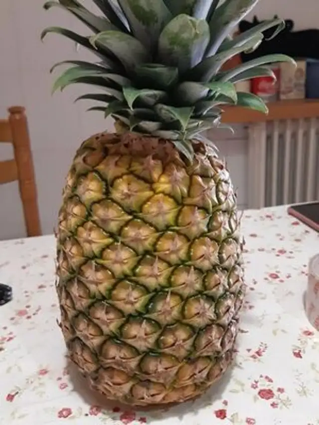 Piña