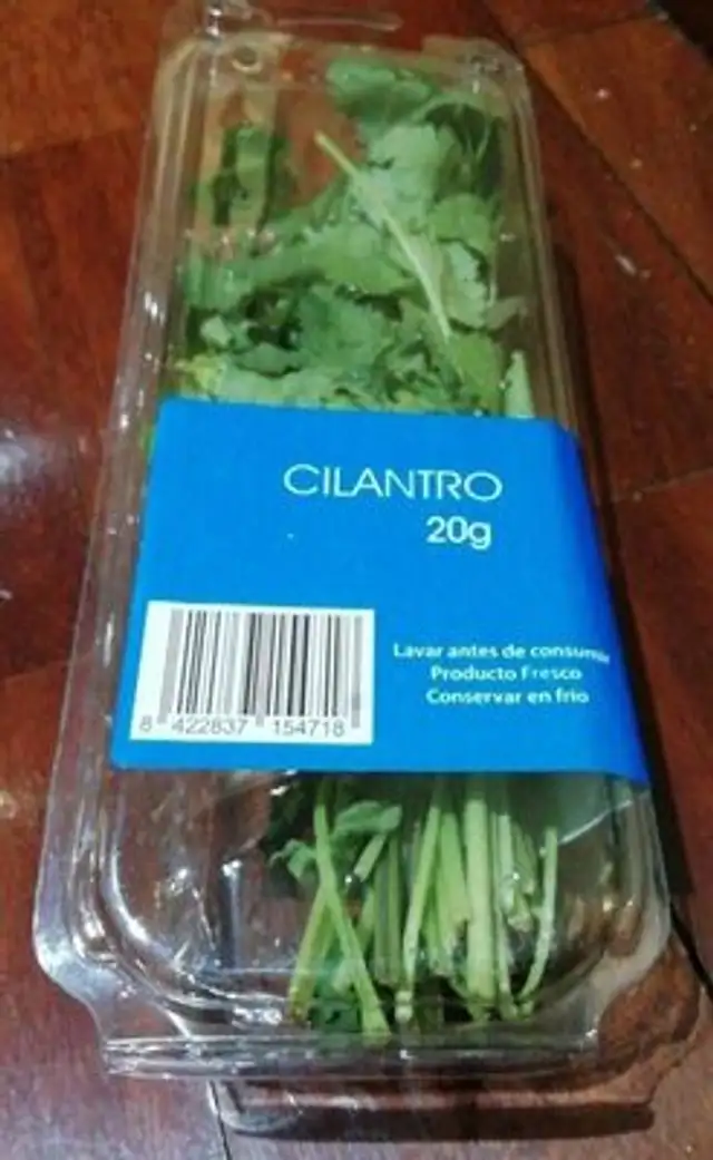 Cilantro