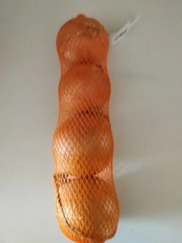 Cebolla