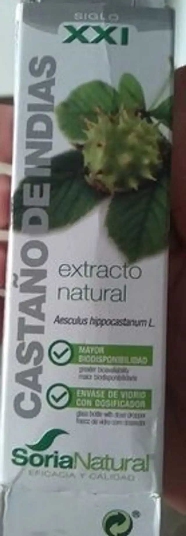Castaño de indias