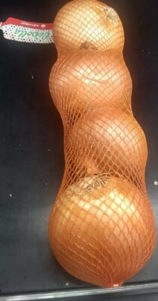 Cebolla