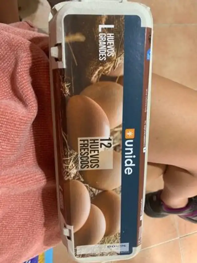 Huevos