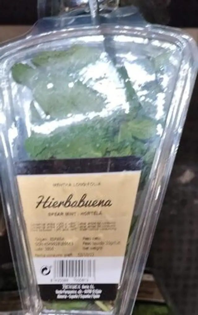 Hierbabuena