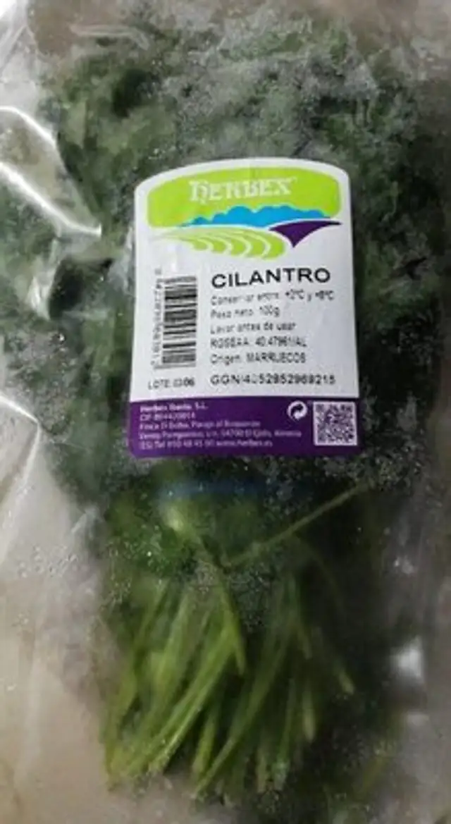 Cilantro