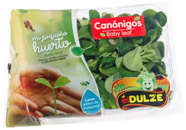 Canónigos