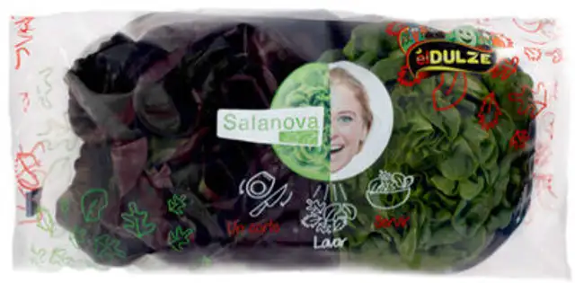 Lechuga salanova