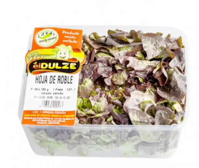 Hoja de roble