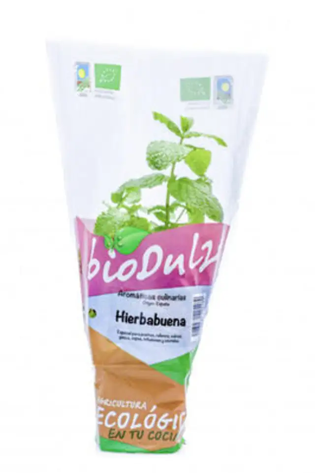 Maceta bio dulze hierbabuena