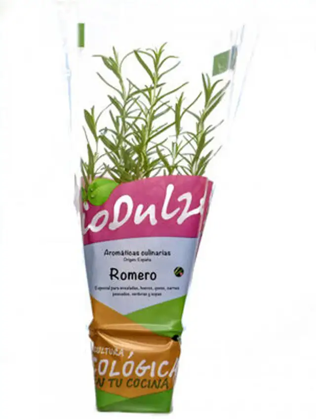 Maceta bio dulze romero